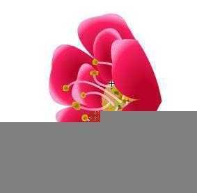 Flash新手鼠绘(5):梅花花瓣的制作(4)