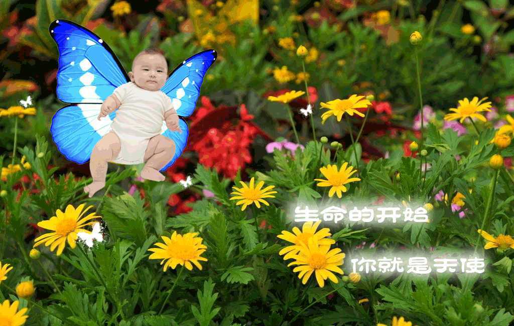 ‘photoshop为宝宝写真照增加动态蝴蝶翅膀特效‘