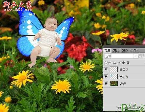 ‘photoshop为宝宝写真照增加动态蝴蝶翅膀特效‘