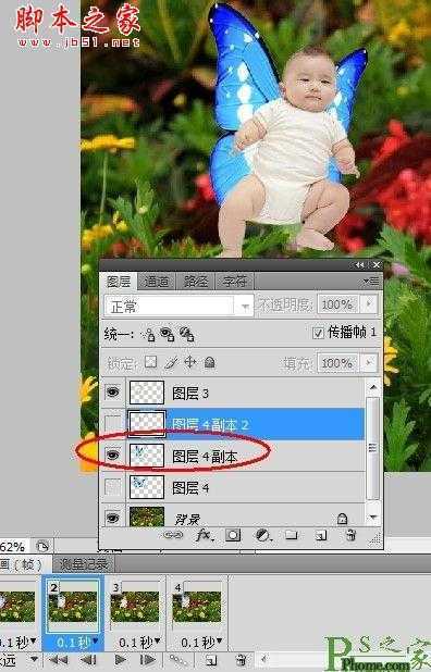 ‘photoshop为宝宝写真照增加动态蝴蝶翅膀特效‘