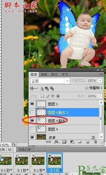 ‘photoshop为宝宝写真照增加动态蝴蝶翅膀特效‘