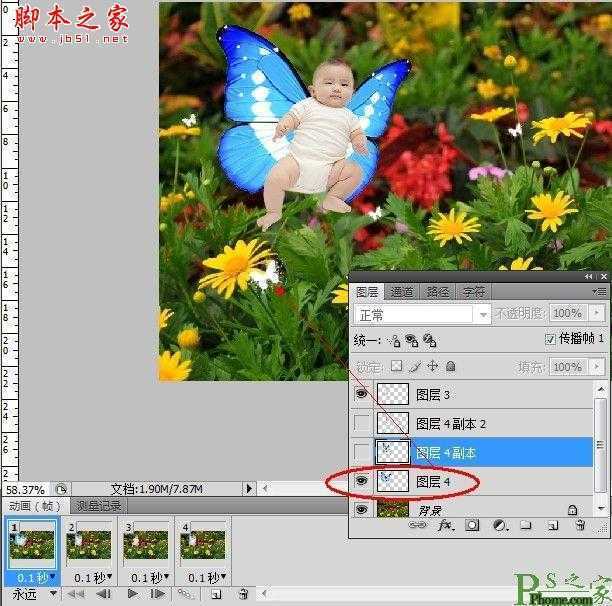 ‘photoshop为宝宝写真照增加动态蝴蝶翅膀特效‘
