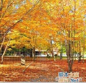 ‘ps把风景图片制作成瓷砖效果图教程‘