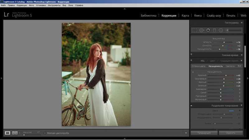 ‘PS后期如何打造梦幻逆光‘