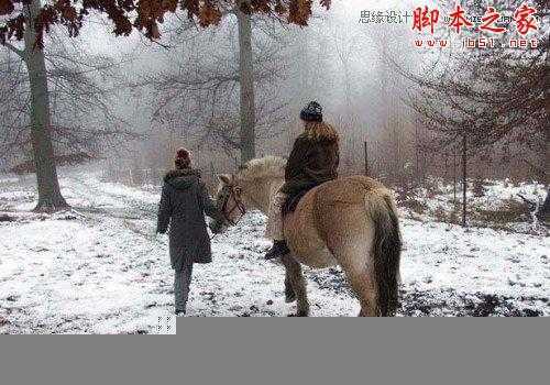 ‘Photoshop使用滤镜模拟逼真的雪花飘飞场景‘