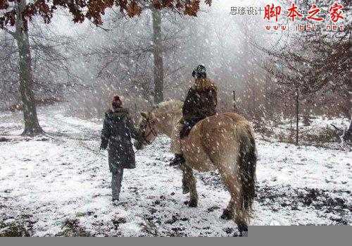 ‘Photoshop使用滤镜模拟逼真的雪花飘飞场景‘