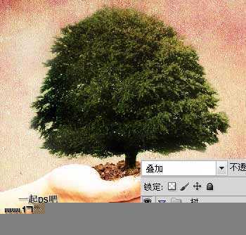 ‘Photoshop合成手上的捧着的大树效果‘