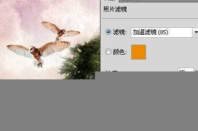 ‘Photoshop合成手上的捧着的大树效果‘