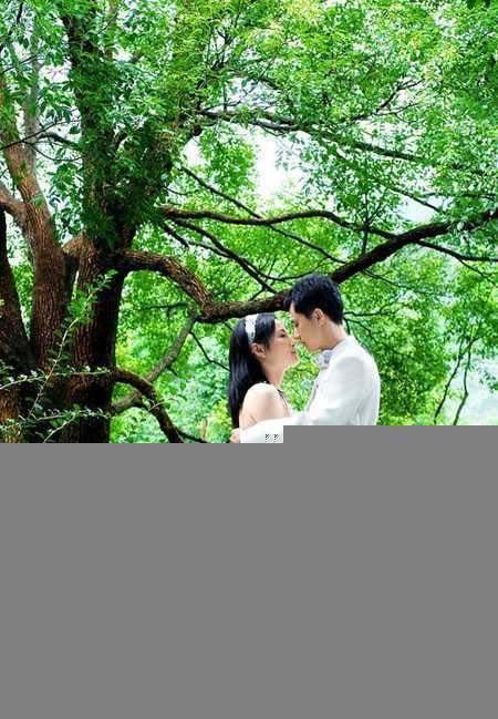 ‘Photoshop为树林婚片加上柔和的黄绿色效果教材‘