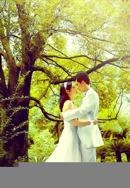 ‘Photoshop为树林婚片加上柔和的黄绿色效果教材‘