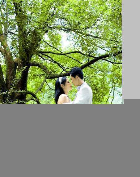 ‘Photoshop为树林婚片加上柔和的黄绿色效果教材‘