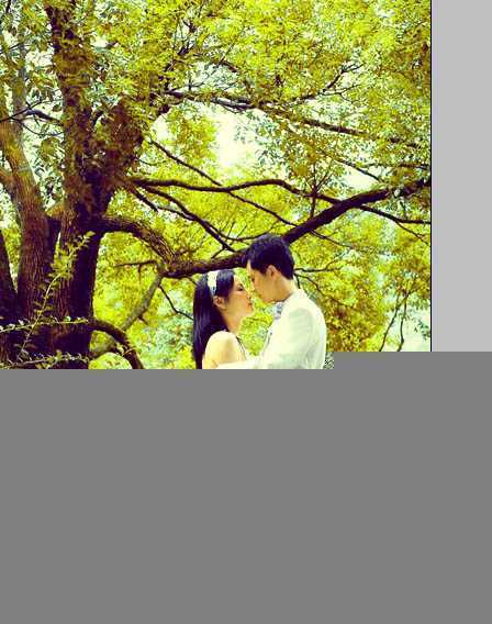‘Photoshop为树林婚片加上柔和的黄绿色效果教材‘