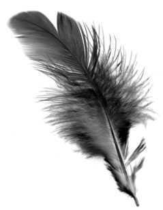 ‘Photoshop合成梦幻唯美的雪山上白色天使‘