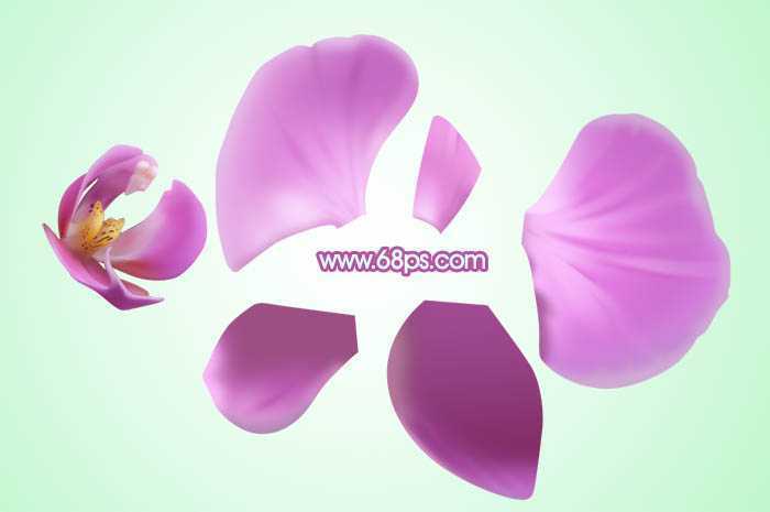 ‘Photoshop设计制作出一朵漂亮逼真的紫色蝴蝶兰‘