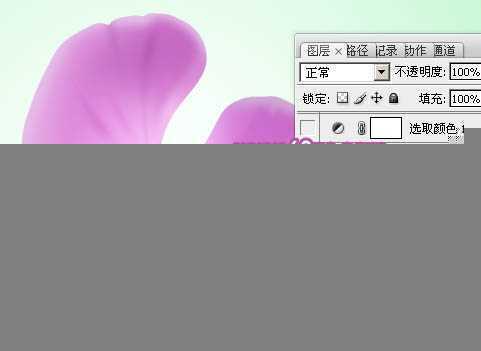 ‘Photoshop设计制作出一朵漂亮逼真的紫色蝴蝶兰‘