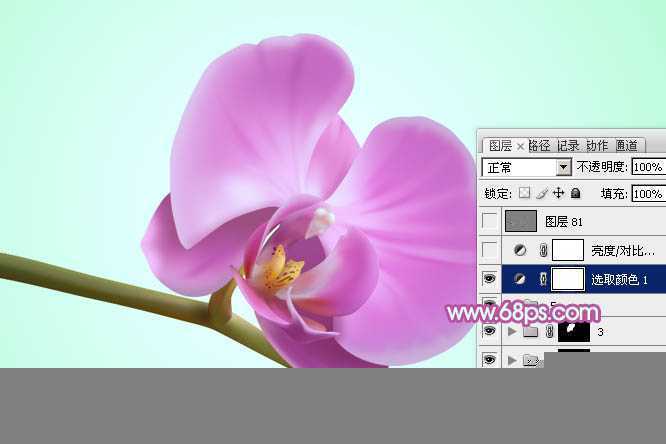 ‘Photoshop设计制作出一朵漂亮逼真的紫色蝴蝶兰‘