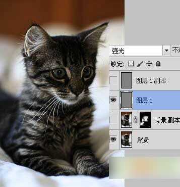 ‘教你如何运用ps滤镜让图片变更清晰‘
