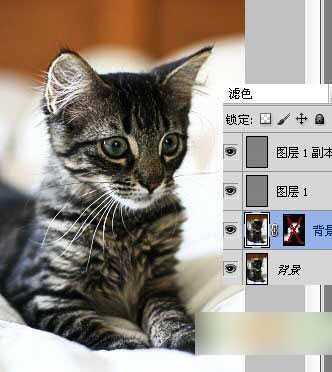 ‘教你如何运用ps滤镜让图片变更清晰‘