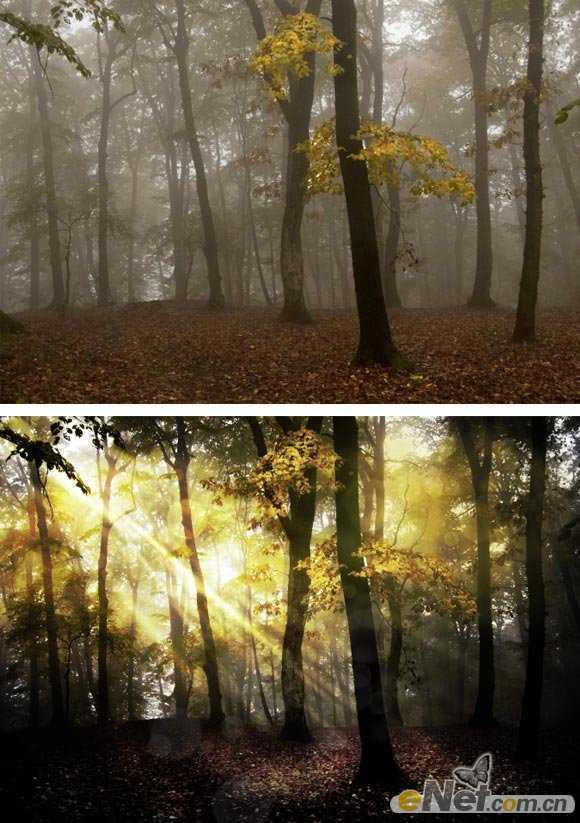 ‘Photoshop使用HDR功能调制出阳光直射的梦幻森林场景‘