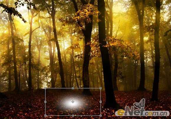 ‘Photoshop使用HDR功能调制出阳光直射的梦幻森林场景‘