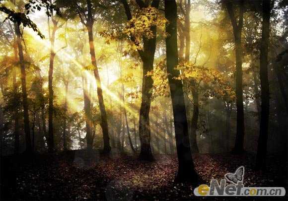 ‘Photoshop使用HDR功能调制出阳光直射的梦幻森林场景‘