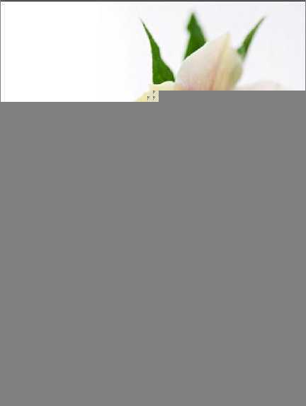 Photoshop教程：详细绘制漂亮的花瓶