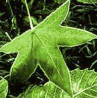 ‘PS抠图技巧、Photoshop