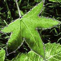 ‘PS抠图技巧、Photoshop