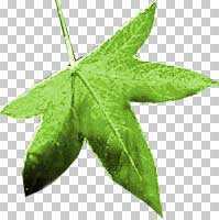 ‘PS抠图技巧、Photoshop