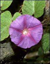 ‘PS抠图技巧、Photoshop