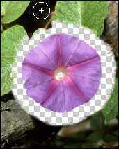 ‘PS抠图技巧、Photoshop