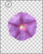 ‘PS抠图技巧、Photoshop