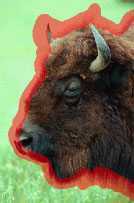 ‘PS抠图技巧、Photoshop