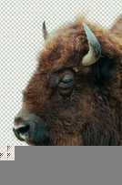 ‘PS抠图技巧、Photoshop