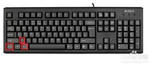 ‘ps出现操作错误后如何快速还原呢?‘