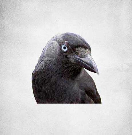 ‘Photoshop