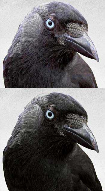 ‘Photoshop