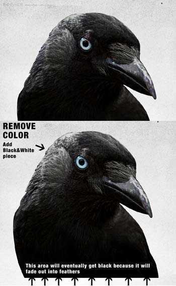 ‘Photoshop