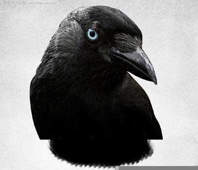 ‘Photoshop