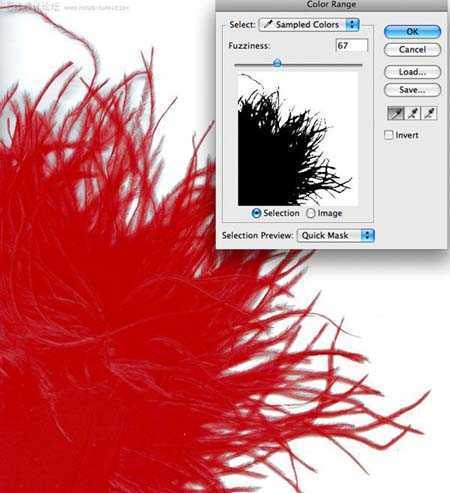 ‘Photoshop