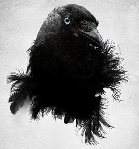 ‘Photoshop