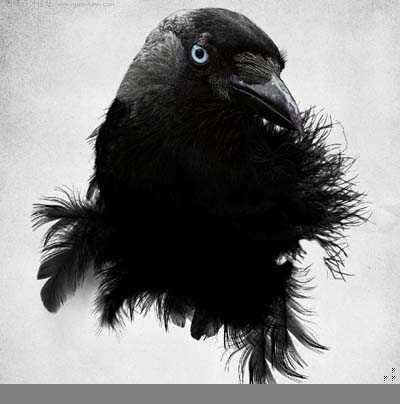 ‘Photoshop
