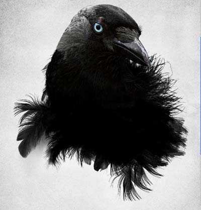‘Photoshop