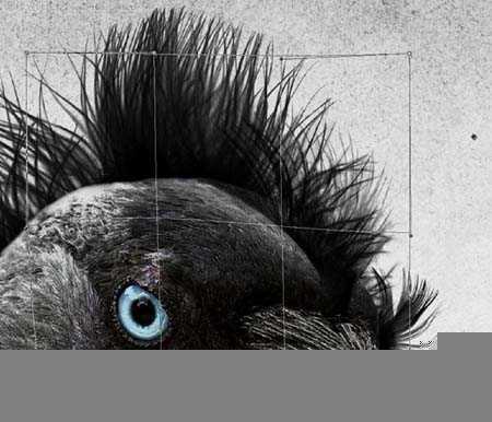 ‘Photoshop