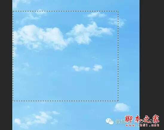 ‘用PS合成另类抽象的鲜花头像图片效果‘