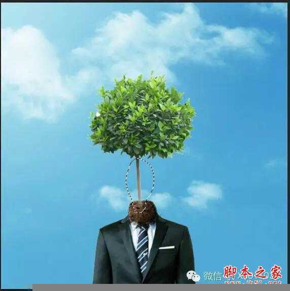 ‘用PS合成另类抽象的鲜花头像图片效果‘