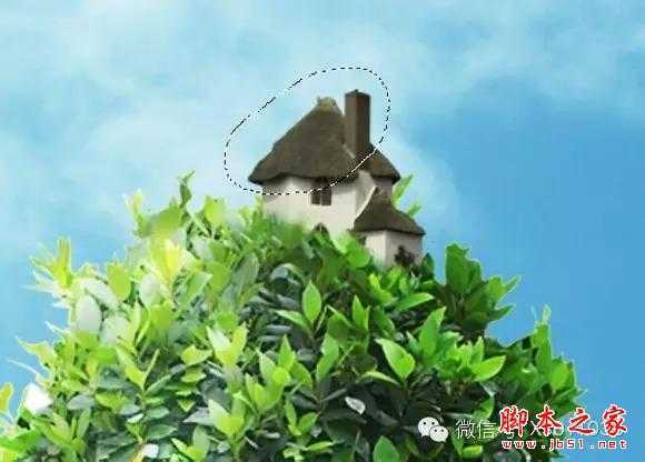 ‘用PS合成另类抽象的鲜花头像图片效果‘