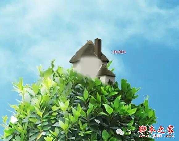 ‘用PS合成另类抽象的鲜花头像图片效果‘