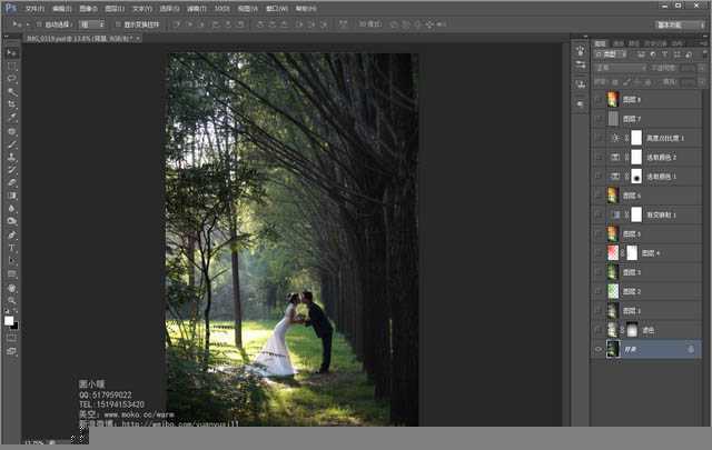 ‘Photoshop为偏暗的树林婚片增加灿烂的阳光色彩‘