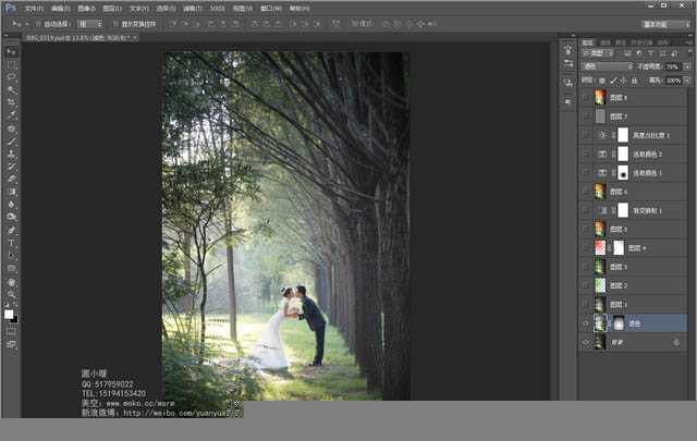 ‘Photoshop为偏暗的树林婚片增加灿烂的阳光色彩‘